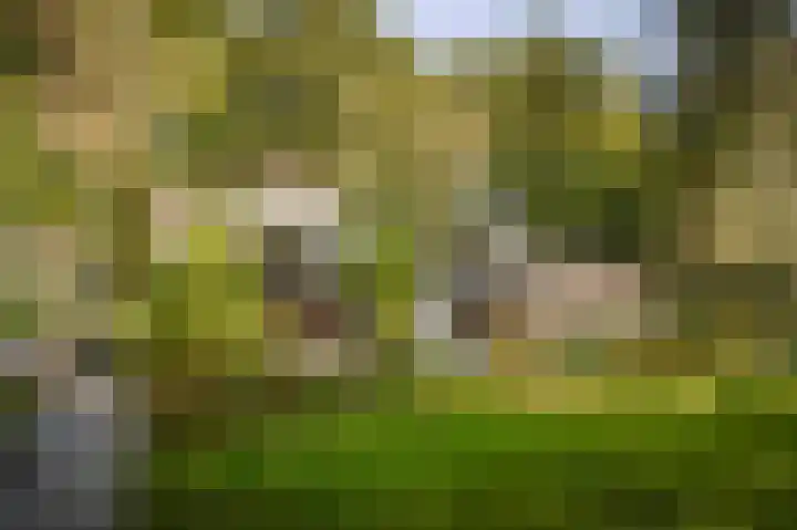 Middenweg 10 Epse thumbnail 8