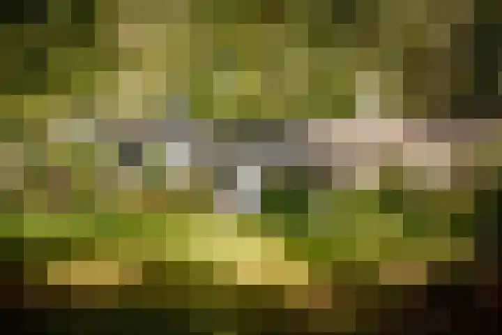 Middenweg 10 Epse thumbnail 9