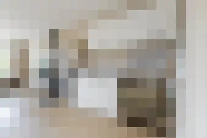 Middenweg 16 Dirkshorn thumbnail 18