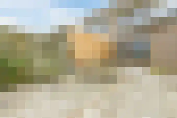 Middenweg 16 Dirkshorn thumbnail 46