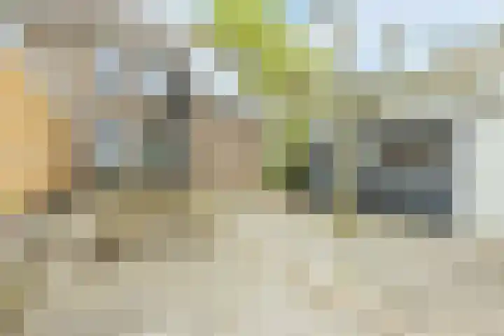 Middenweg 16 Dirkshorn thumbnail 47