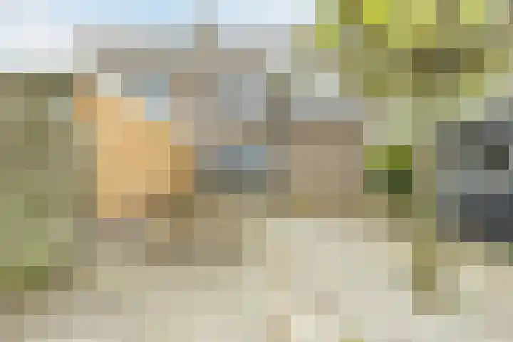 Middenweg 16 Dirkshorn thumbnail 48