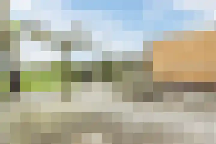 Middenweg 16 Dirkshorn thumbnail 52