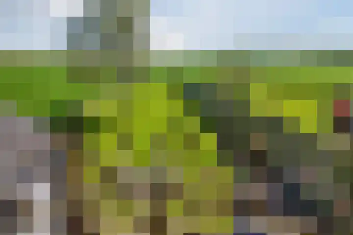 Middenweg 16 Dirkshorn thumbnail 54