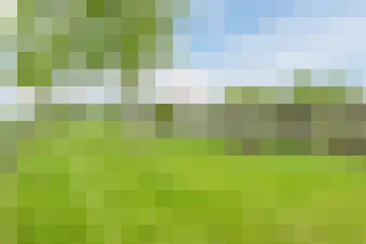Middenweg 16 Dirkshorn thumbnail 55