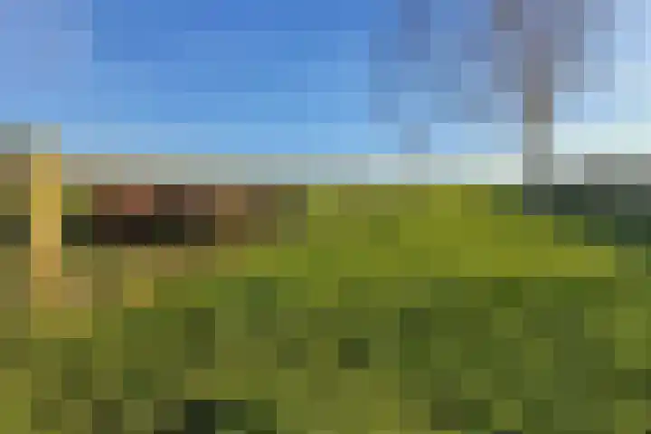 Middenweg 16 Dirkshorn thumbnail 57