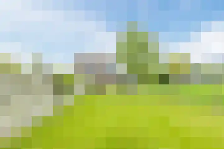 Middenweg 16 Dirkshorn thumbnail 58