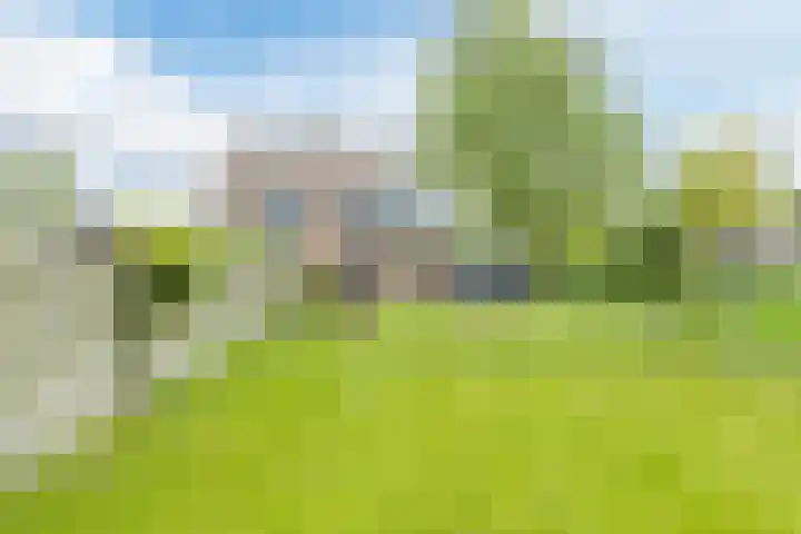Middenweg 16 Dirkshorn thumbnail 59
