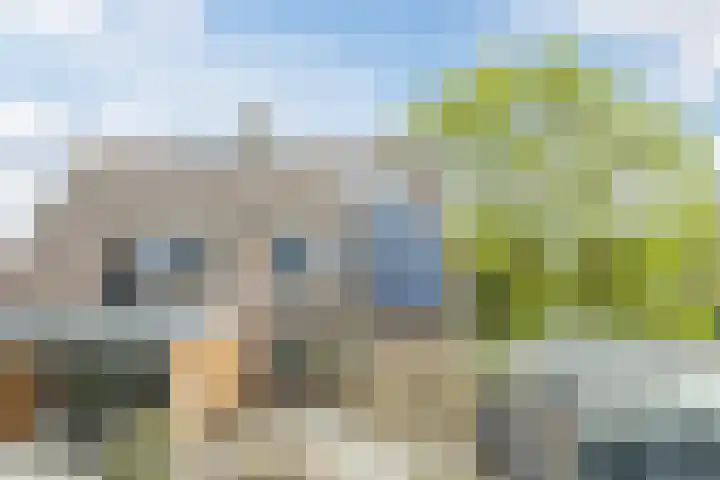 Middenweg 16 Dirkshorn thumbnail 60