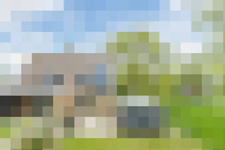 Middenweg 16 Dirkshorn thumbnail 61