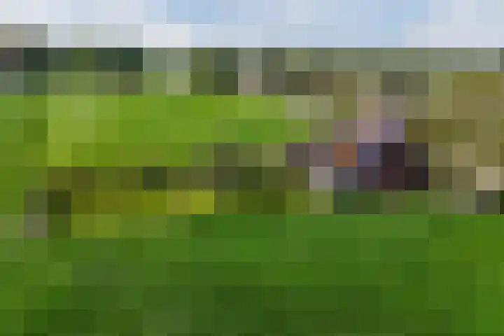 Middenweg 16 Dirkshorn thumbnail 64