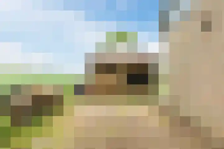 Middenweg 16 Dirkshorn thumbnail 66
