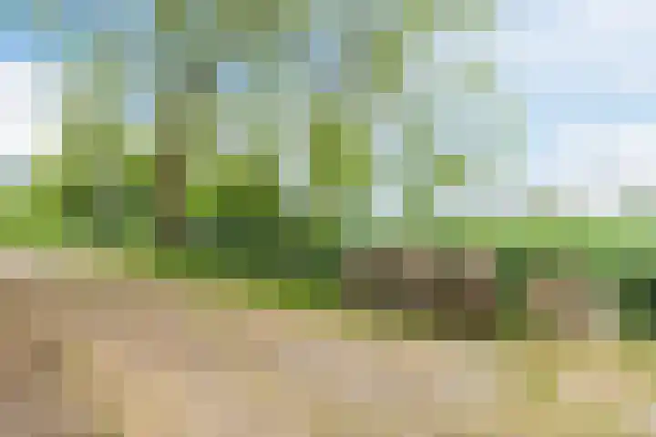 Middenweg 16 Dirkshorn thumbnail 67