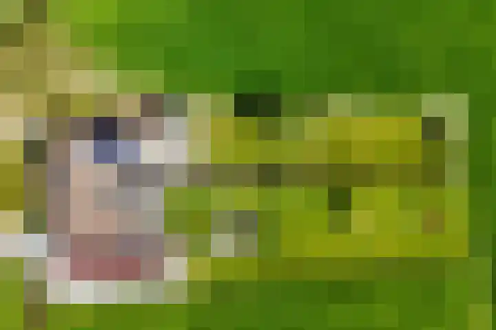 Middenweg 16 Dirkshorn thumbnail 68