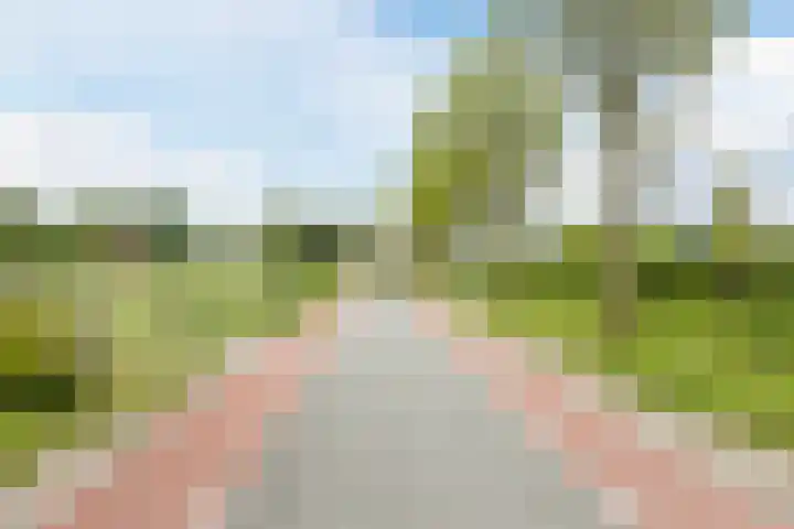 Middenweg 16 Dirkshorn thumbnail 70