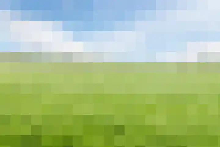 Middenweg 16 Dirkshorn thumbnail 71