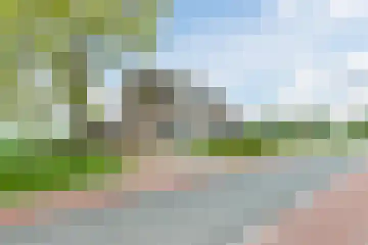 Middenweg 16 Dirkshorn thumbnail 9