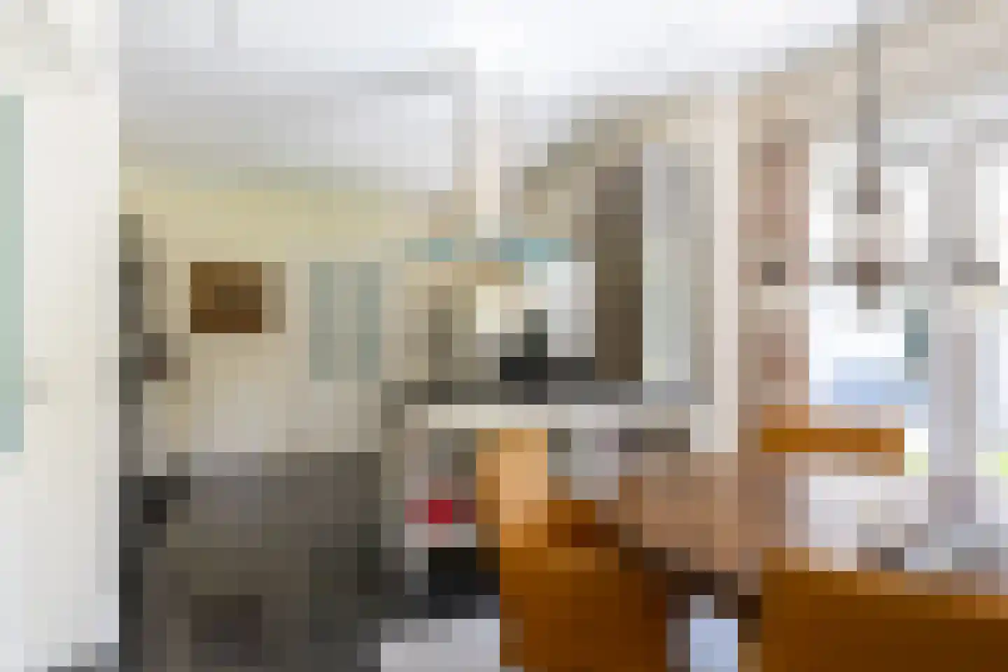 Middenweg 18 Epse thumbnail 25