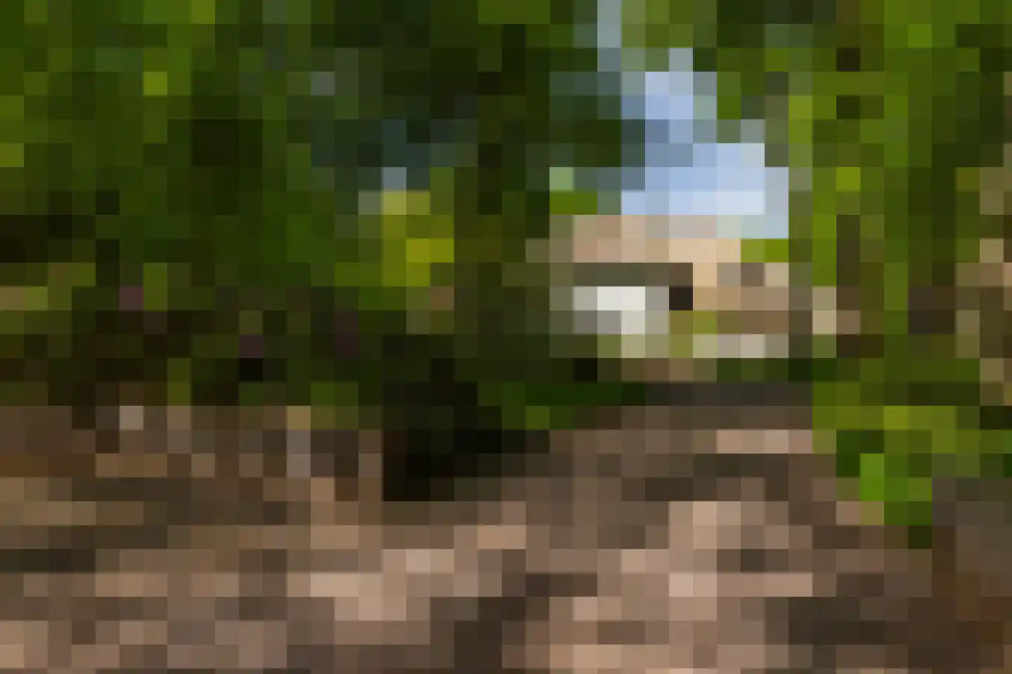 Middenweg 18 Epse thumbnail 61
