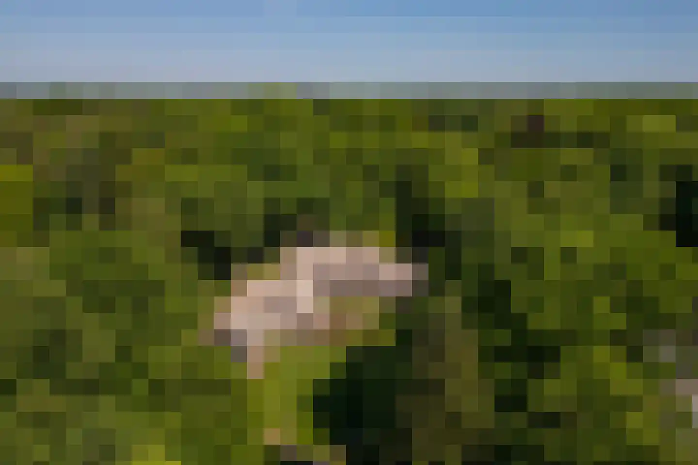 Middenweg 18 Epse thumbnail 63