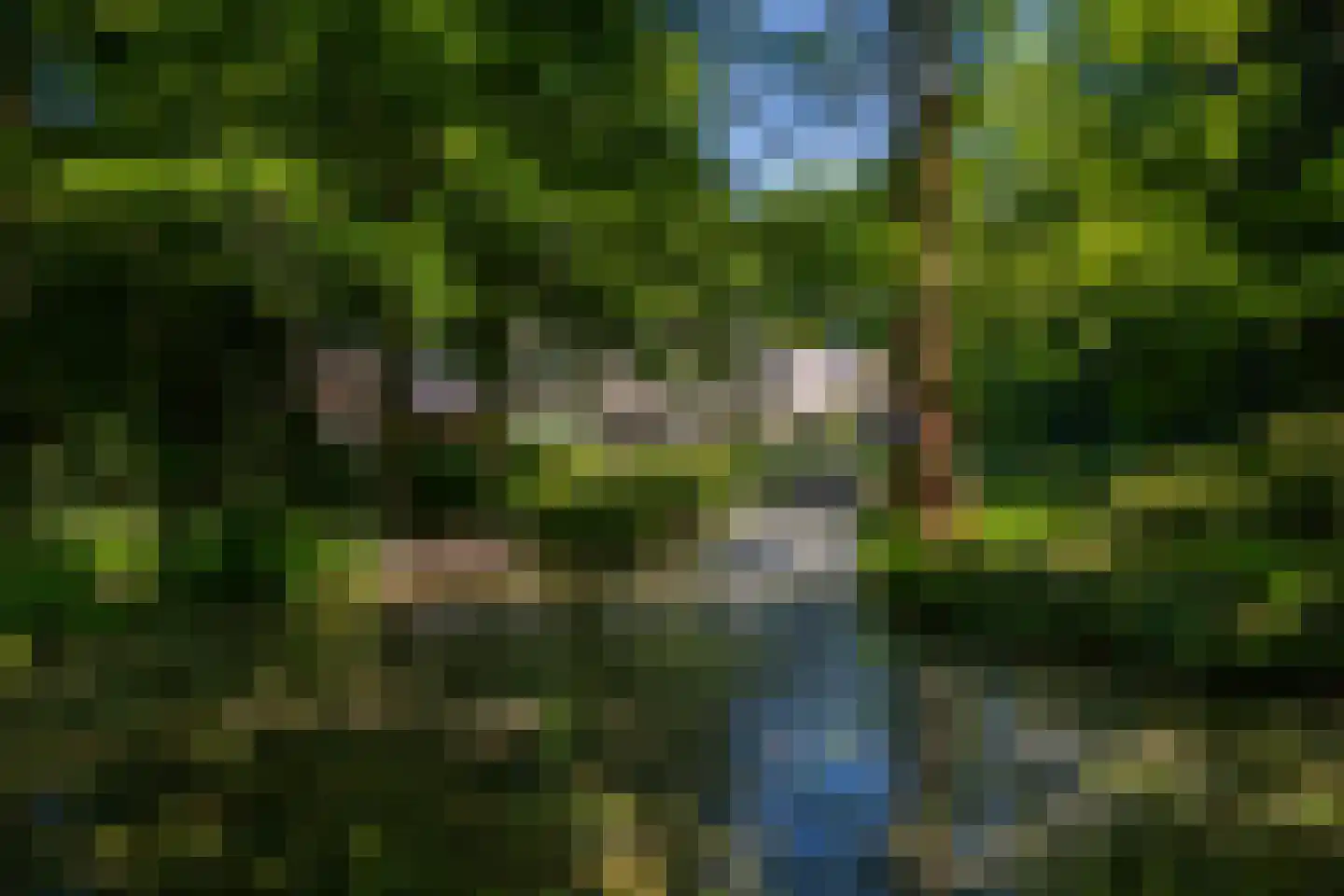 Middenweg 18 Epse thumbnail 64