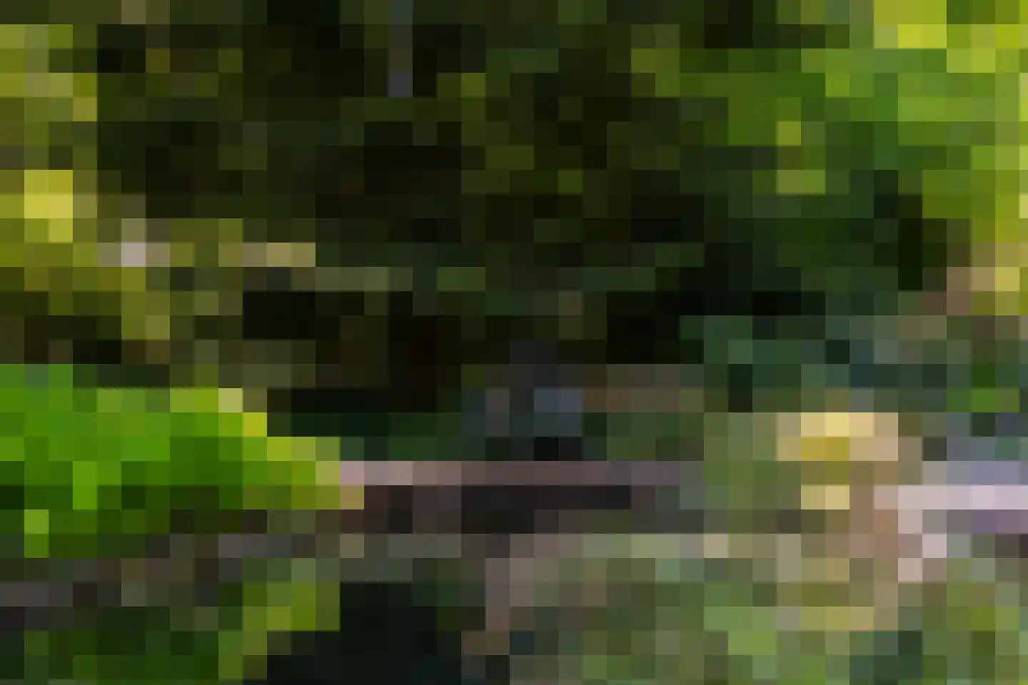 Middenweg 18 Epse thumbnail 68