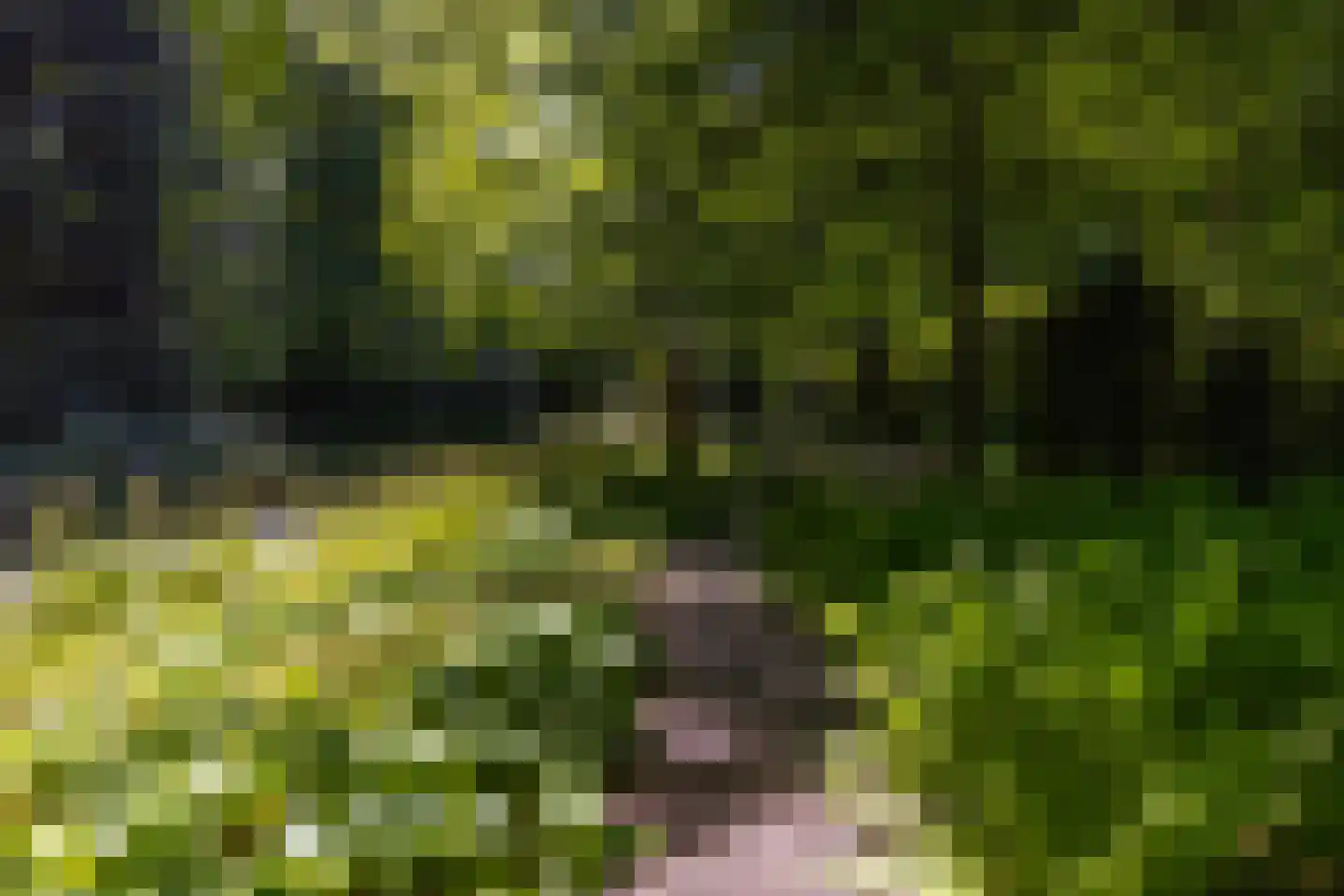 Middenweg 18 Epse thumbnail 71