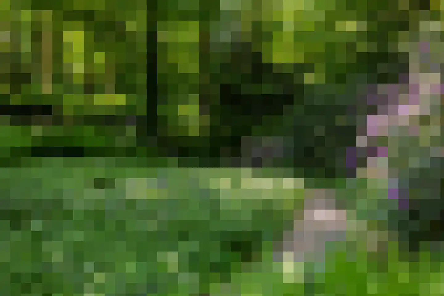 Middenweg 18 Epse thumbnail 72