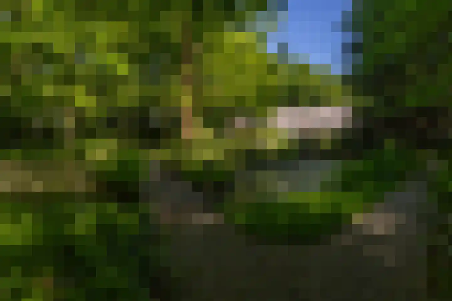 Middenweg 18 Epse thumbnail 73