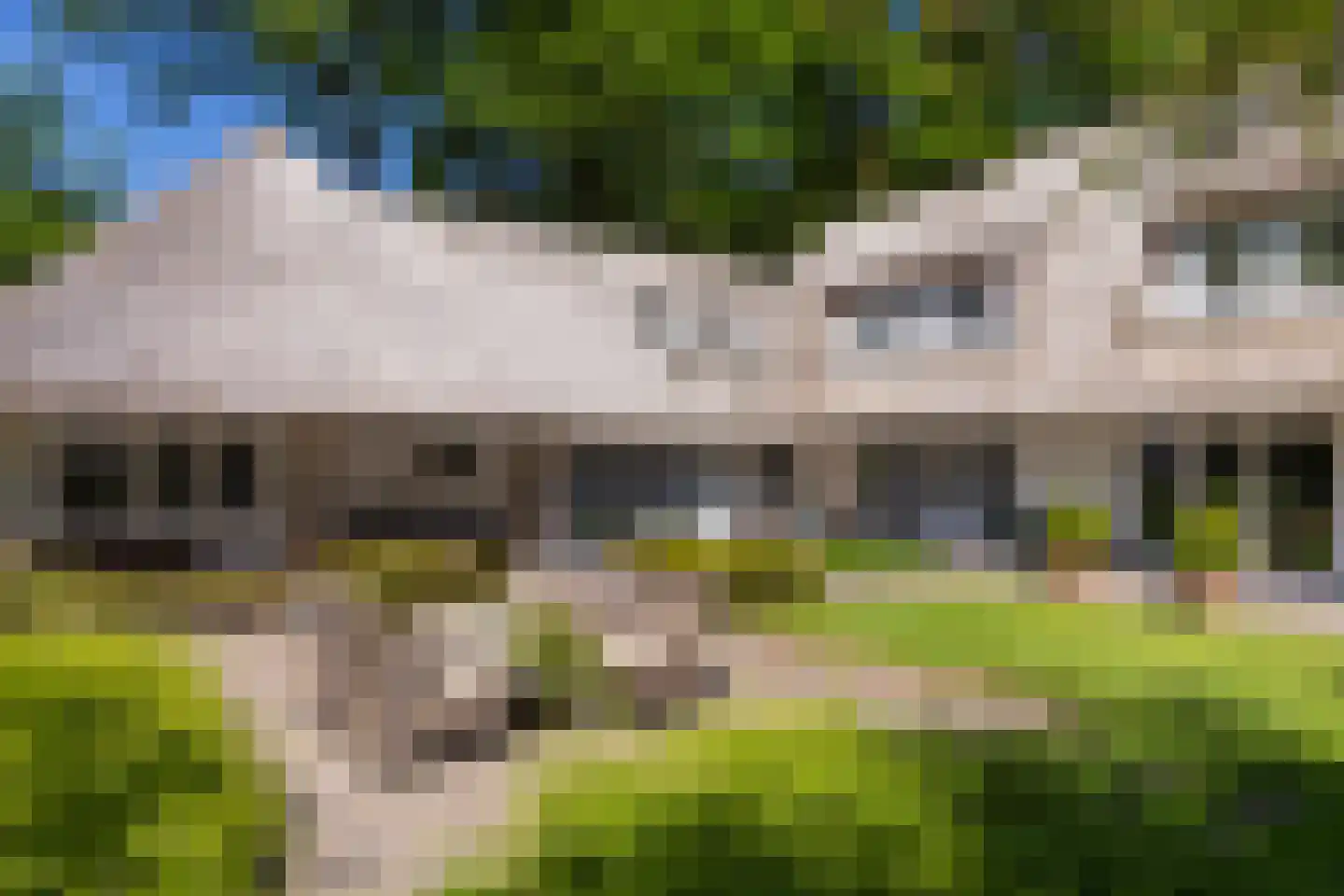 Middenweg 18 Epse thumbnail 76