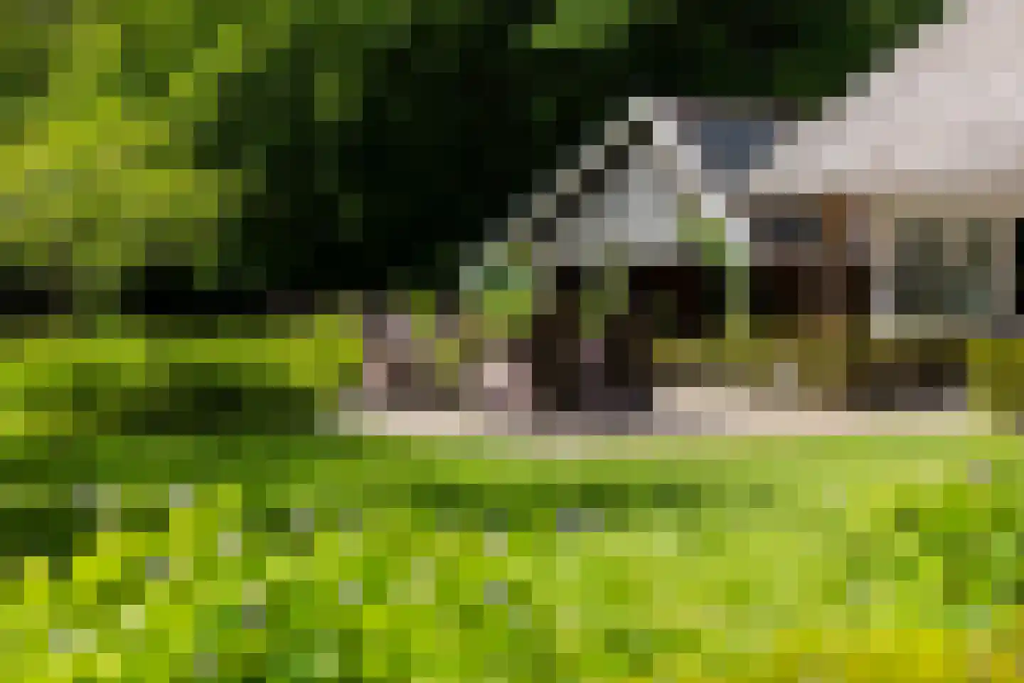 Middenweg 18 Epse thumbnail 80