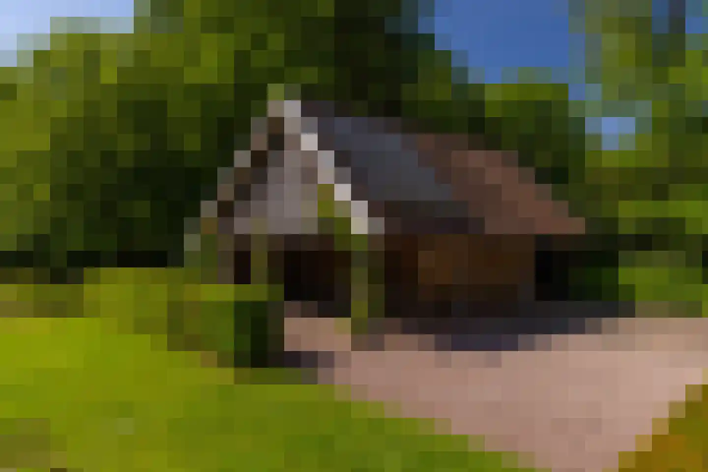 Middenweg 18 Epse thumbnail 82