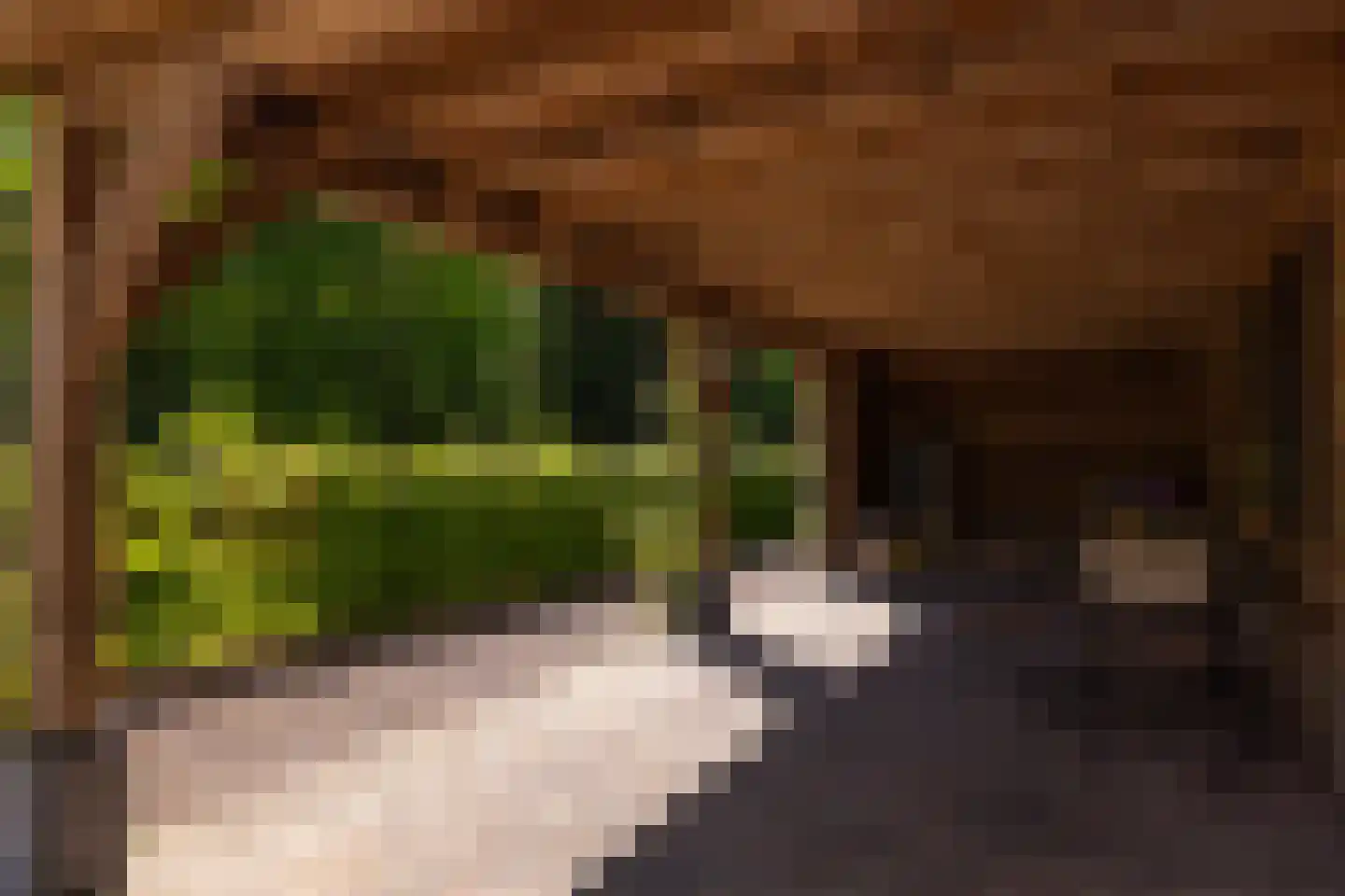 Middenweg 18 Epse thumbnail 83