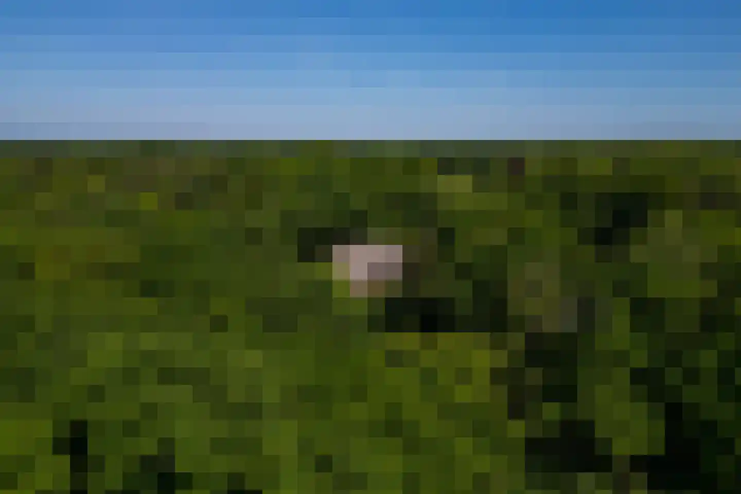 Middenweg 18 Epse thumbnail 86