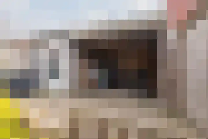 Middenweg 2 Rijen thumbnail 22