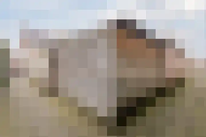 Middenweg 2 Rijen thumbnail 23