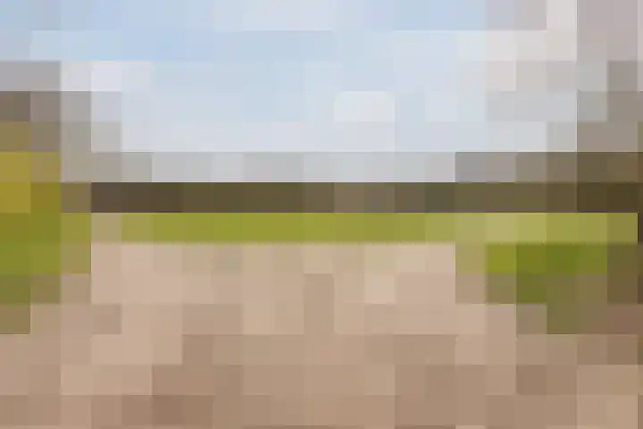 Middenweg 2 Rijen thumbnail 39