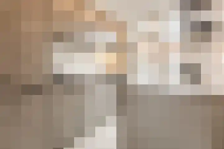 Middenweg 2 Rijen thumbnail 7