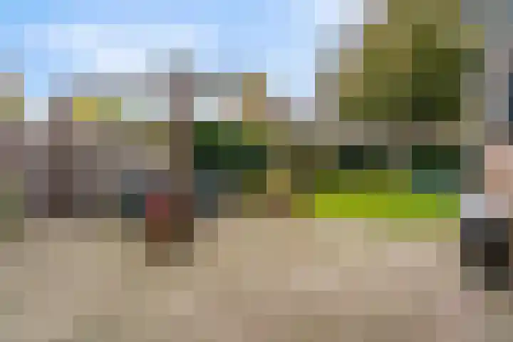 Middenweg 28 Limmen thumbnail 39