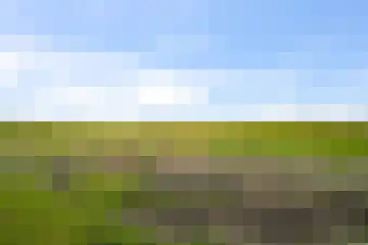 Middenweg 37 Breezand thumbnail 38