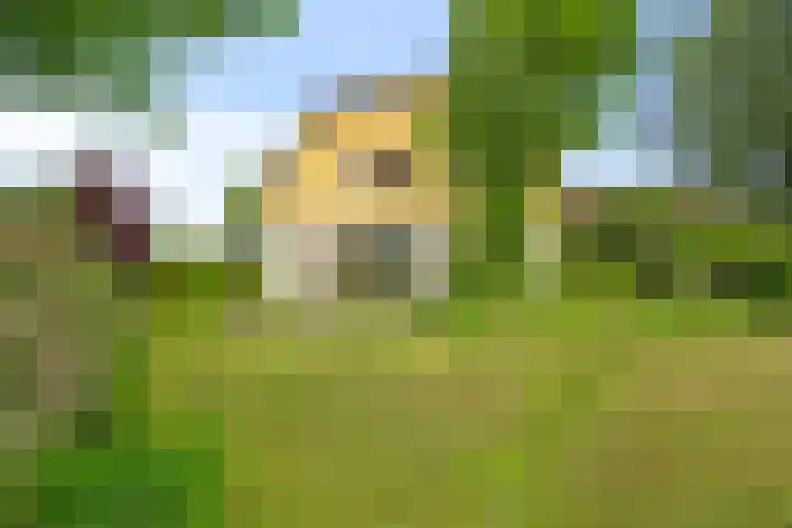 Middenweg 37 Breezand thumbnail 7