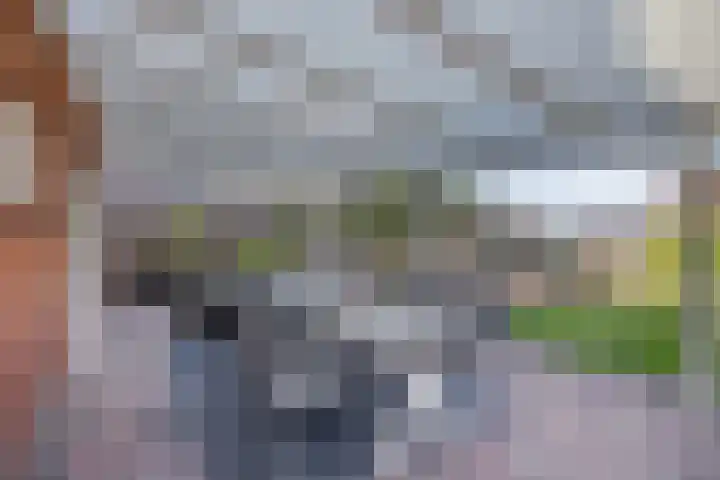 Middenweg 4 Veendam thumbnail 30