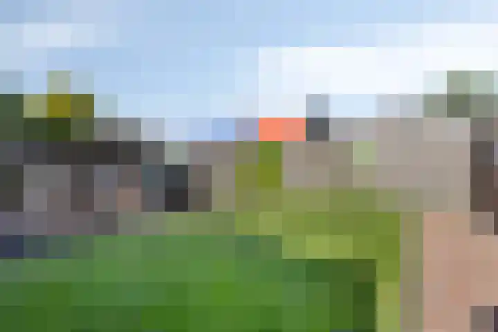 Middenweg 4 Veendam thumbnail 33