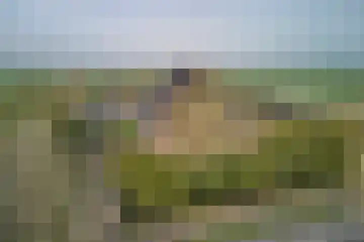 Middenweg 45 Noordbeemster thumbnail 5