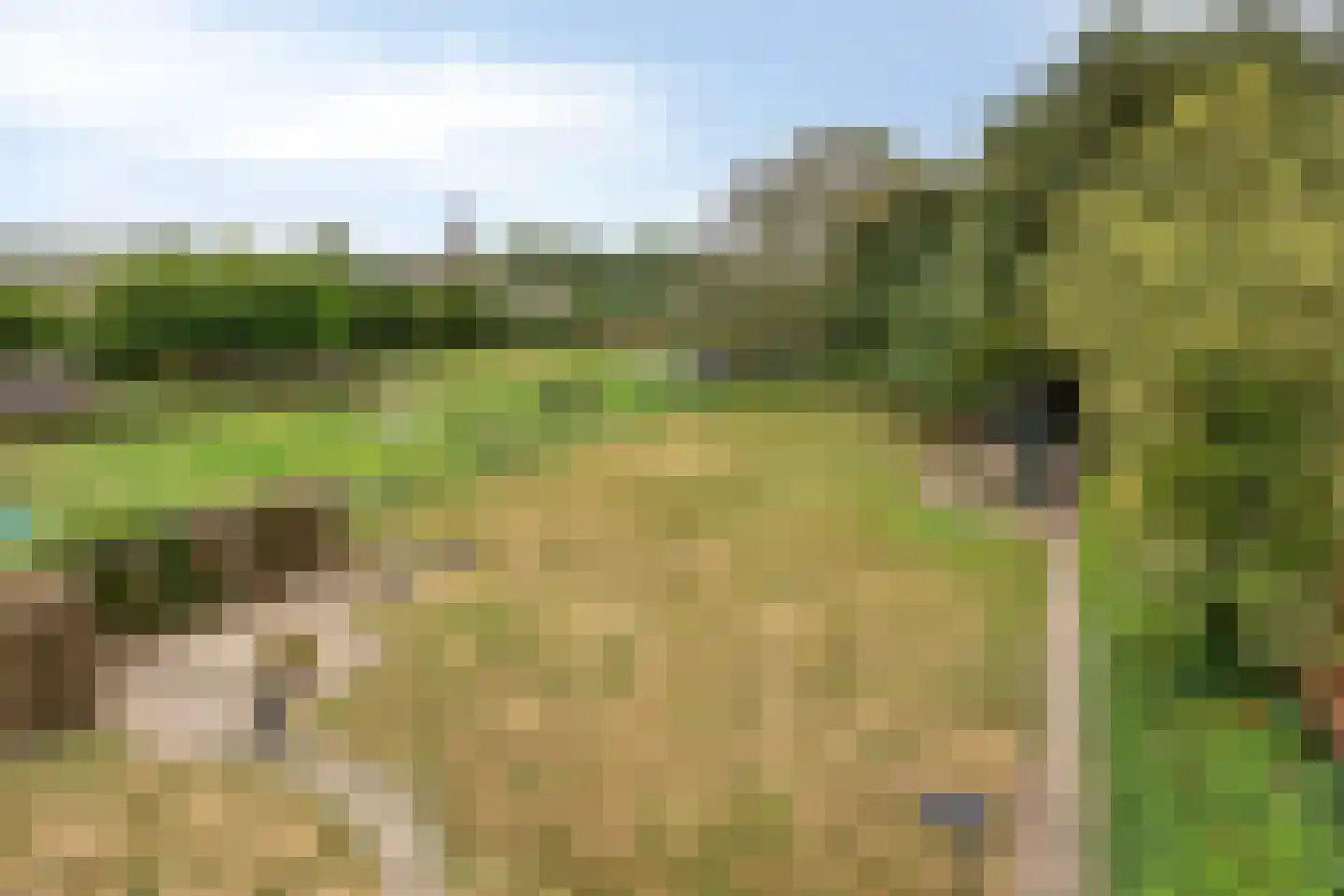 Middenweg 8 Haren thumbnail 39
