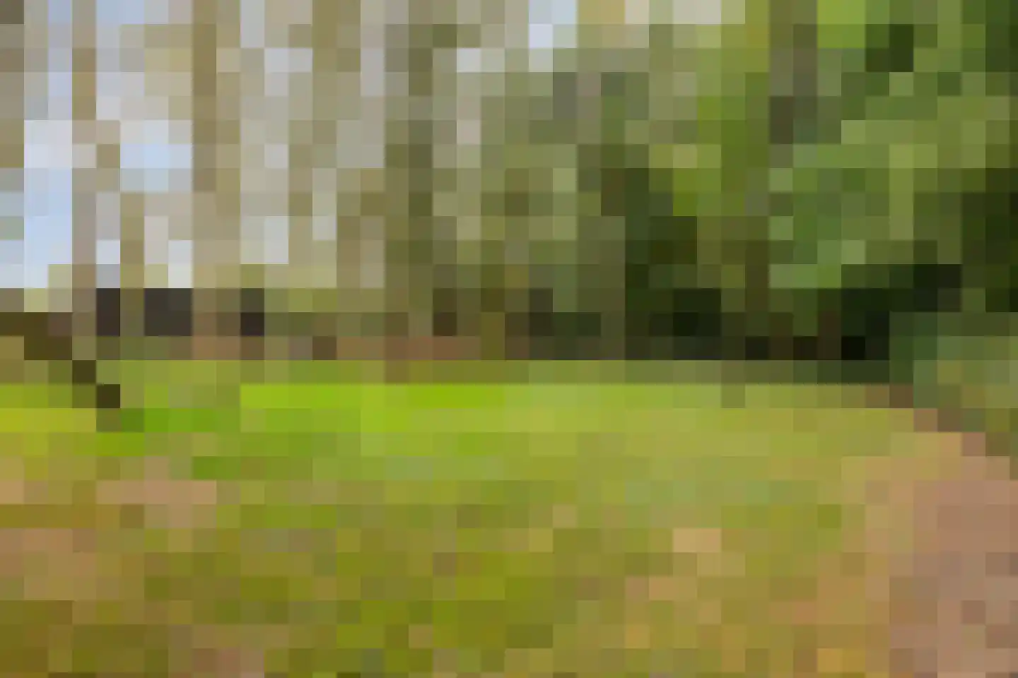 Middenweg 8 Haren thumbnail 45