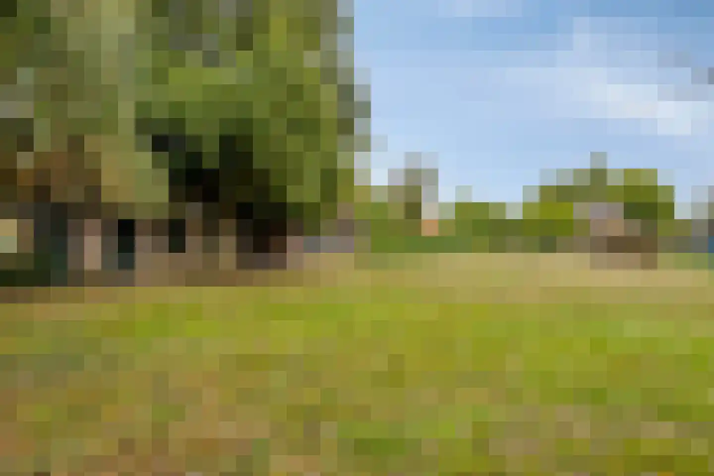 Middenweg 8 Haren thumbnail 46