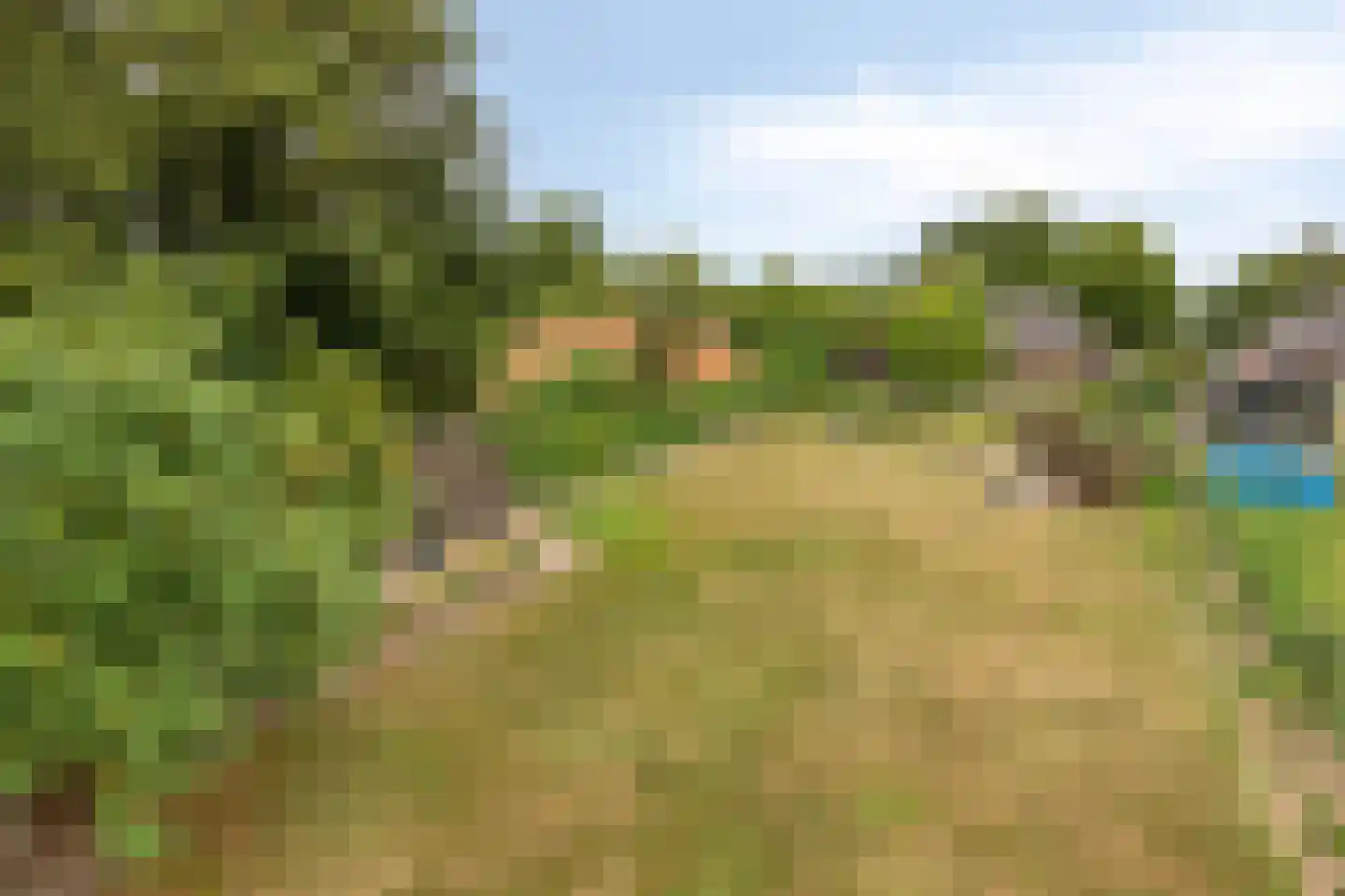 Middenweg 8 Haren thumbnail 47