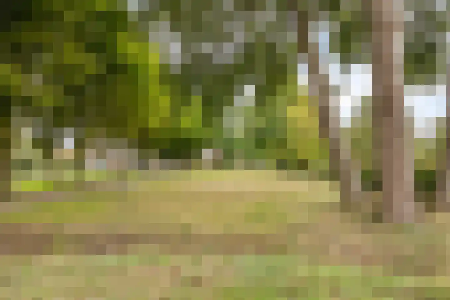 Middenweg 8 Haren thumbnail 50