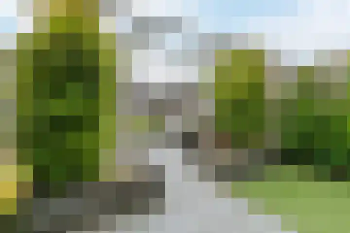 Midgard 12 Beverwijk thumbnail 17